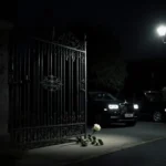 Person standing near ornate iron gate opening with white rose on ground and streetlamp providing subtle light.