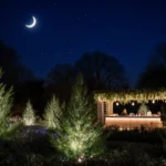 Projection‑mapped lights create a winter wonderland on lush foliage with a mistletoe lounge glowing in Dallas Arboretum