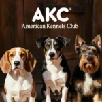 Three dogs stand together in front of rustic wooden door with AKC logo above