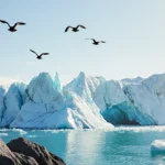 Trump Eyes Greenland Amid Arctic Power Struggle