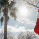 Palm tree swaying gently with a child