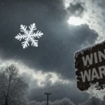 Winter storm warning sign stands with heavy snowflakes drifting past frozen trees and power lines